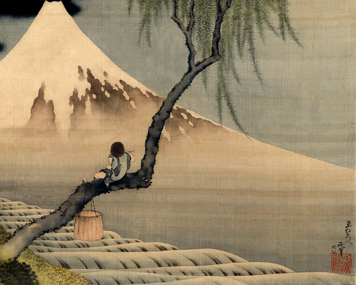 Boy on Mount Fuji