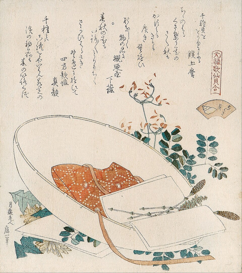 White Shell Shiragai